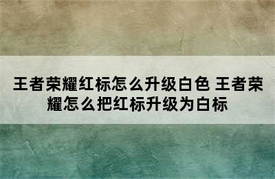 王者荣耀红标怎么升级白色 王者荣耀怎么把红标升级为白标